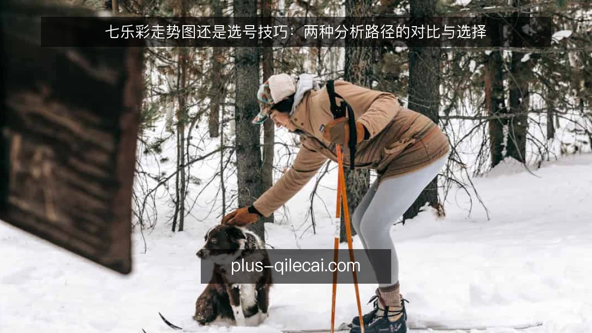 七乐彩走势图还是选号技巧：两种分析路径的对比与选择