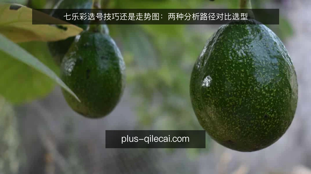 七乐彩选号技巧还是走势图：两种分析路径对比选型